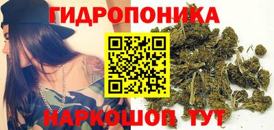 стаф Нальчик