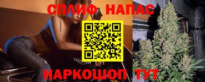 стаф Нальчик