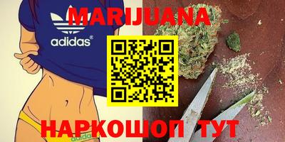 стаф Нальчик