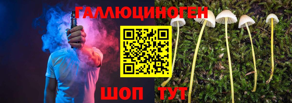 Псилоцибиновые грибы прущие грибы  Вход с VPN  Ростов Великий 
